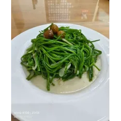 樹子水蓮